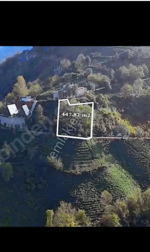Sahibinden Deniz Ve Doğa Manzaralı Çaylık