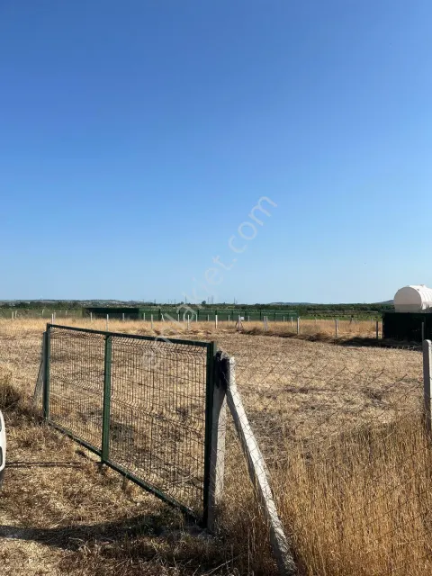 Sahibinden Satılık 300m