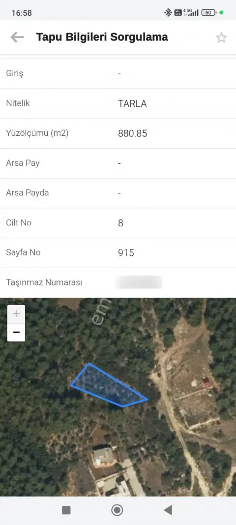 Sahibinden Kaburgediği Ferah Yaylalık İçerisnde Zeytin Ceviz Agaçları Mevcut