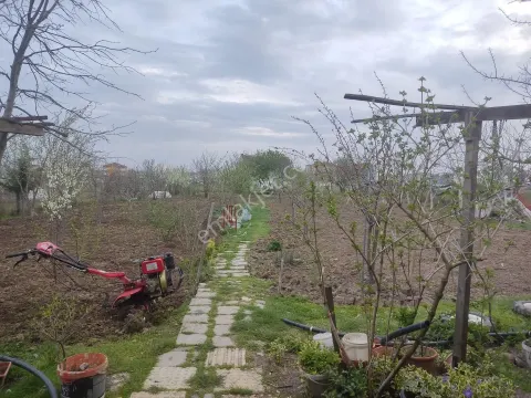 Sahibinden Kapaklı Pınarca'da Satılık 1420 M² Verimli Bahçe