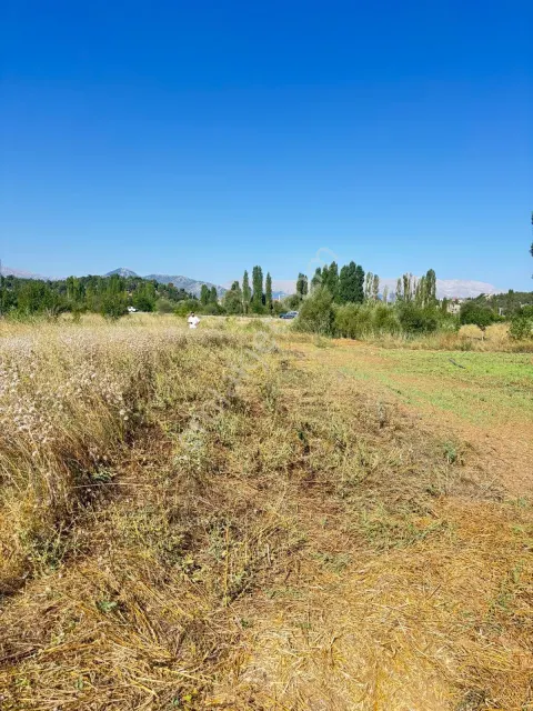 Sahibinden Beyşehir Adaköy'de Ana Yol Kenarı Satılık Tarla