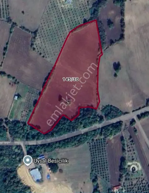 Sahibinden Yalova Çiftlikköy İlyasköy'de Satılık 24.544 M² Tarla