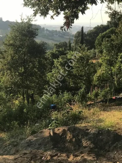 Sahibinden Yola 40 Metre Cephe Muhteşem Doğa