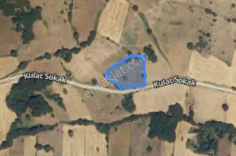 Balıkesir / Susurluk Sahibinden Çitli Tarla