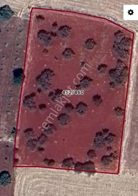Sahibinden Pazarcık-antep Eski Yolu Üzeri 6 Dönüm Yetişkin Fıstıklık