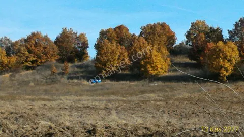 Sahibinden Kırklareli Kavakdere Köyü Verimli Tarla