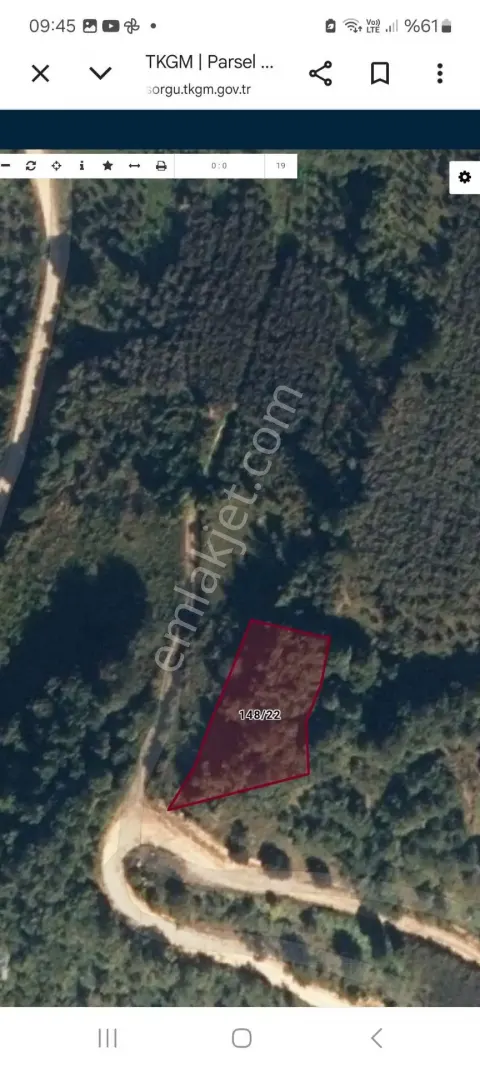 Sahibinden Acil Satılık Bulancak Tandır Köyü Kelepir Fındık Bahçesi