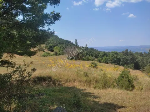 Sahibinden Müstakil Tek Tapu