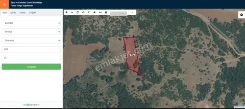 Sahibinden Sındırgı Osmanlar 2.449 M² Satılık Hissesiz Tarla - Yolu Var,