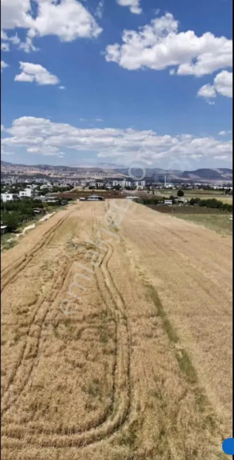 Sahibinden Adıyaman Çimen Merkeze 2km Satılık Tarla