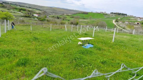 Sahibinden Çatalca Örencik'te 205 M² Tarla, Hobi Bahçesi