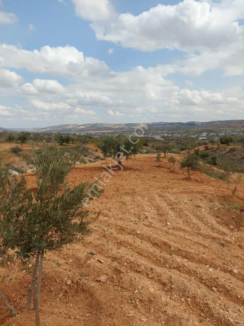 Sahibinden Yatırımlık Arazi