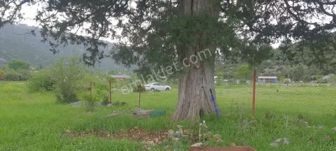 Sahibinden Burdur/bucak/kocaaliler/demirli Yatırım Desdeğine Uygun Tarla