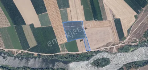 Sahibinden Karacabey Çarıkta 12.307 M² Fırsat Arazi.