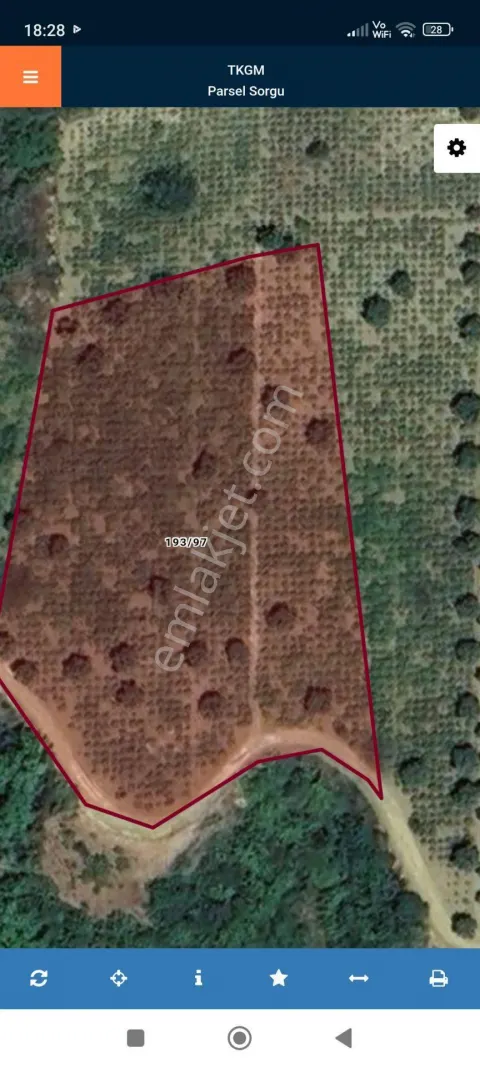 Sahibinden 5674 Metrekare Üzüm Bağı. Zeytinlik