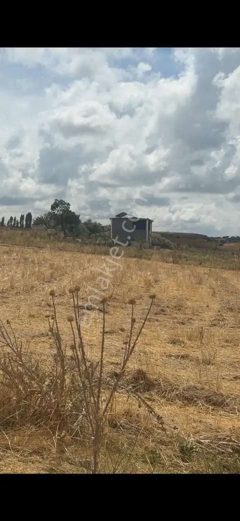 Sahibinden Nevşehir Cevherdudayev Satılık Tarla