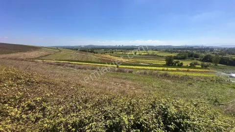 Sahibinden Adapazarı Karadere'de 3052 M2 Fırsat Tarla Su , Yol , Manzaralı