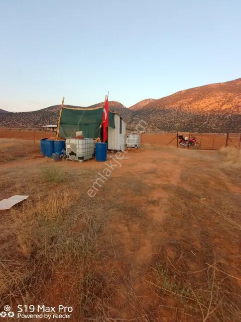 Sahibinden Antalya Korkuteli Susuz Beğişe Satılık Toprak