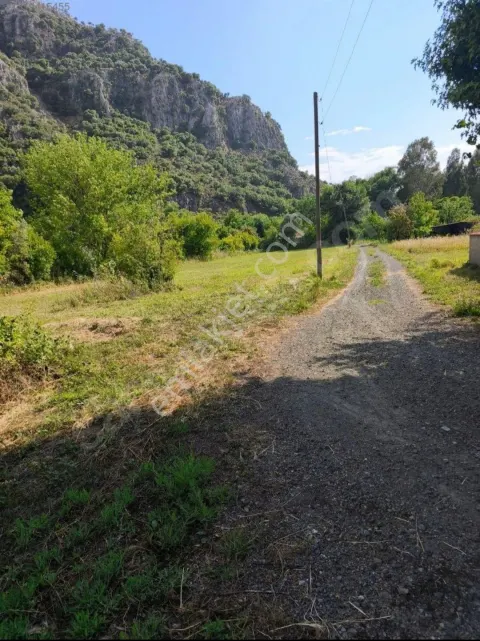Sahibinden 2.943m2 Tek Tapu Yerim Satılıktır.