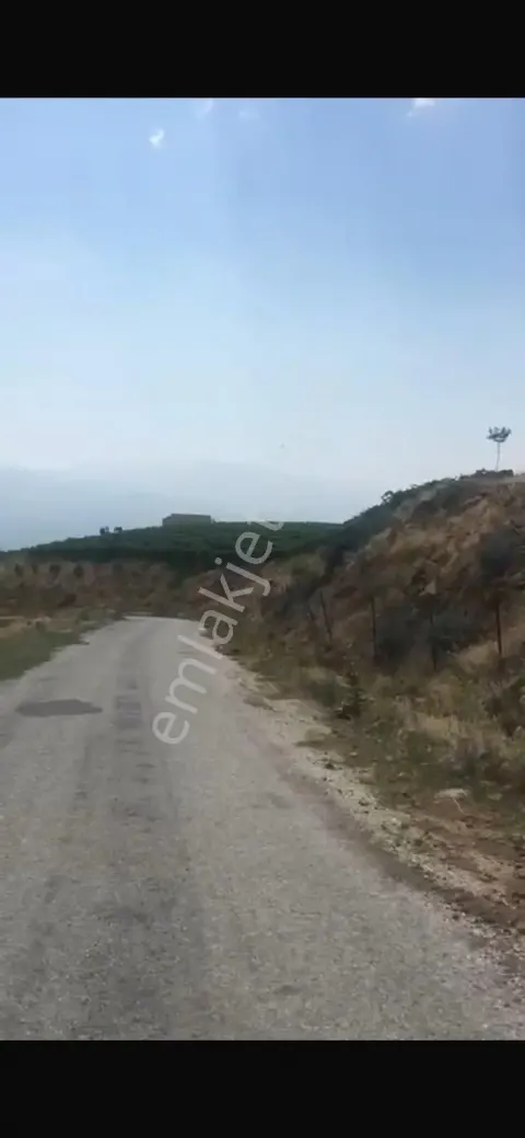 Sahibinden 23 Dönüm Arazi Yola Cepheli Alaşehir Merkeze 10 Dk Salihli Merkeze 15 Dk