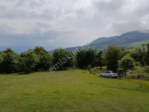 Sahibinden Sakarya Taraklı Tuzla Köyünde Satılık Sahibinden Arsa (yayla)