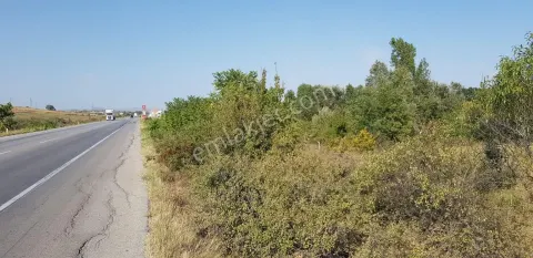 Sahibinden Hamzabeyli Sınır Kapısı Yolu Üzerinde Yatırımlık Fırsat: 100 Metre Cepheli 11 Dönüm Tarla