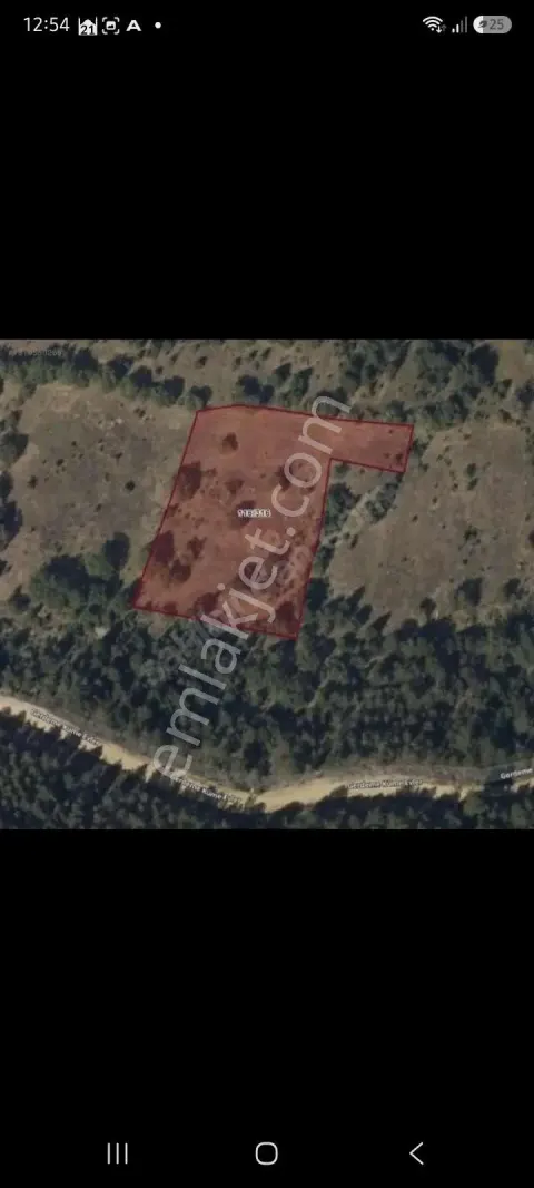 Sahibinden Acil Kütahya Emet Günlüce Çimenli Mevkisinde Satılık Tarla