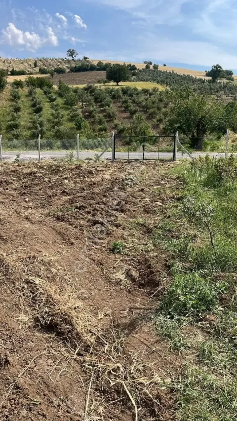 Sahibinden Onikişubat Orhangazi'de (tapu: İsmailli) Yeni İmar Sınırında, Asfalta Sıfır, Elektrik-suyu Satılık
