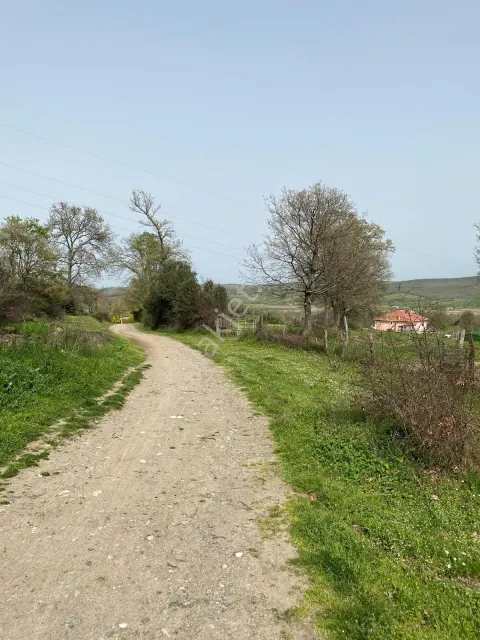 Sahibinden Biga/hoşoba 1414m2 Bag.