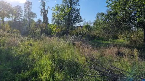 Sahibinden Çaytepe Mahallesinde Denize Yürüme Mesafede Satılık Arsa Müstakil Tapulu