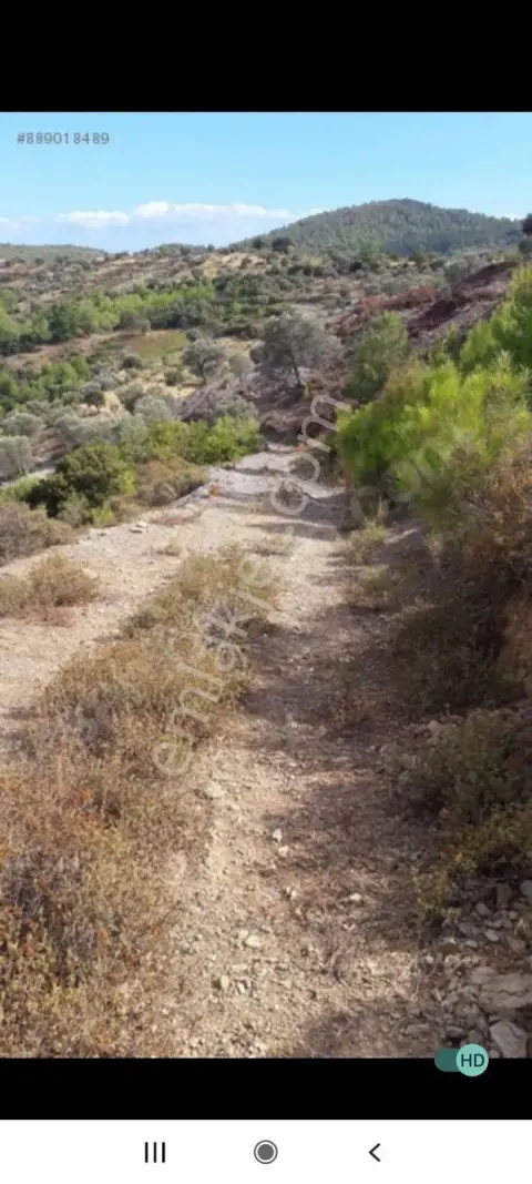 Muğlada Akbüke Yakın 5.366 M² Tarla Sahibinden