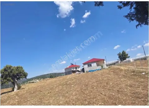 Sahibinden Erdemli Güzeloluk Yaylalık Arsa