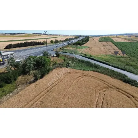 Sahibinden Silivri Alipaşa Kınalı Gişeler Yanı 250 M2 Çaplı Muvaffakatlı Arazi