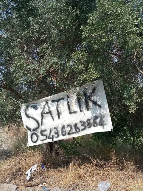 Sahibinden Bir Dönümlük Bahçe Arsa