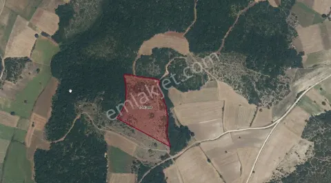 Sahibinden Yenişehir Gökçesu'da 34.833 M² Müstakil Tapulu Yatırımlık Tarla