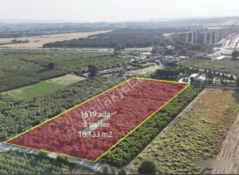 Sahibinden Bursa Osmangazi Çeltikköy'de Satılık 8066 M² Villa İmarlı Arsa