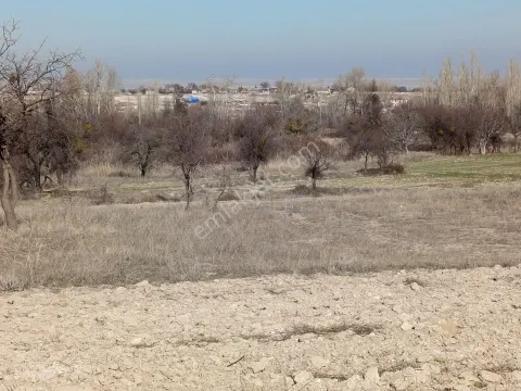 Sahibinden Köye Yakın Yol Kenarı Düz Tarla