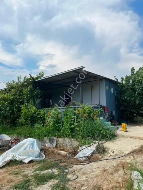 Sahibinden Mersin/tarsus Hacıhamzalı’da 13.300m2 Bahçe
