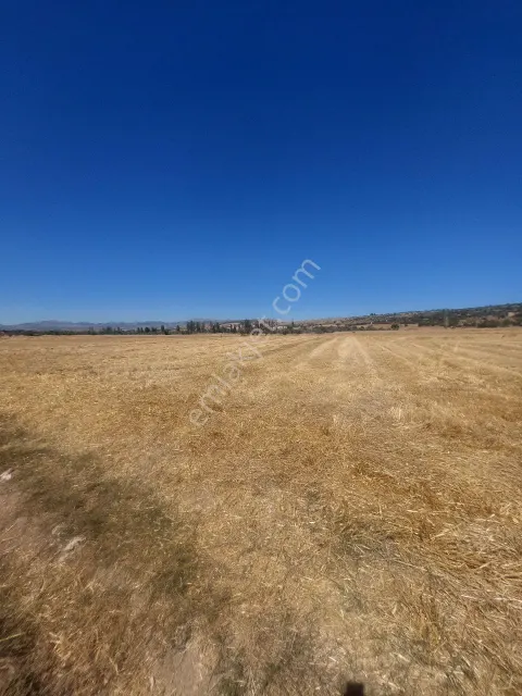Sahibinden Konya Ahırlı Merkez 3 Dönüm Tarlamiz Satılıktır