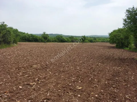 Sahibinden Yiğitler Köyü Kapalı Sulama Sistemli Kadastral Yola Cepheli