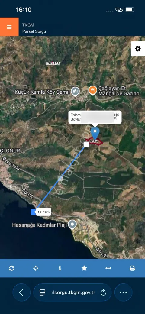 Sahibinden Acil Satılık Zeytinlik