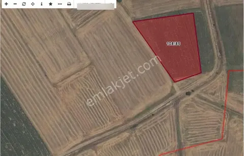 Sahibinden Üniversite Hocasından Villalık Çiftlik Yapmaya Uygun Satlık Arazi