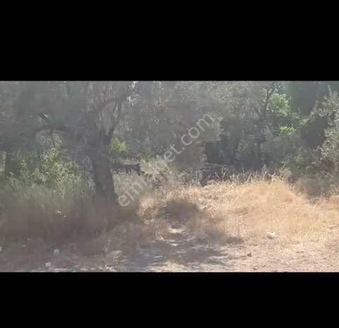 Sahibinden Kızılkeçilide Satılık Arsa
