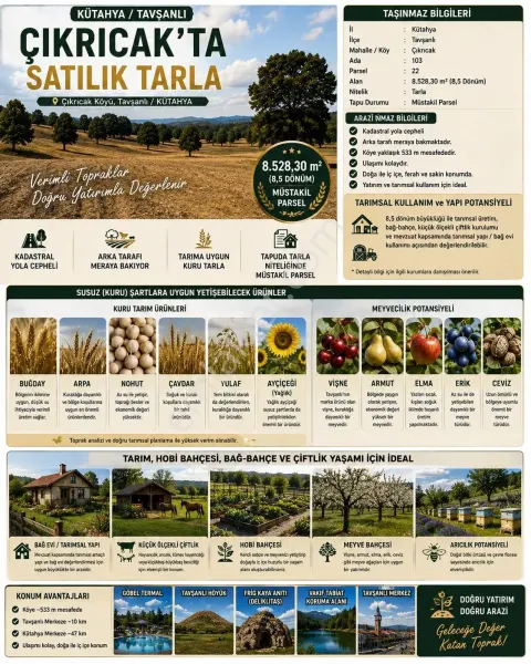 Sahibinden + Kütahya + Tavşanlı ++ 8.528 M² Kadastral Yollu - Meraya Sıfır