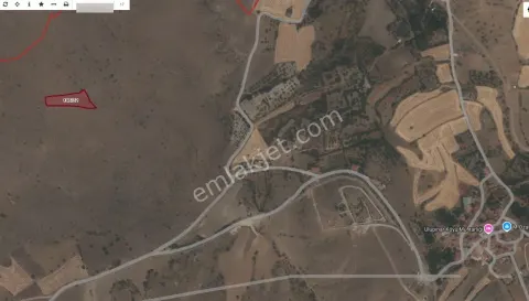 Sahibinden Ankara / Ayaş / Ulupınar 3104 M2