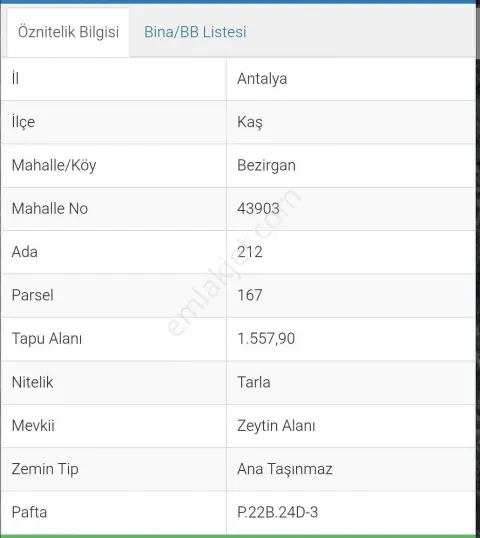 Sahibinden Kaş Bezirgan'da Villa Bölgesine Yakın 1.558 M² Müstakil Tarla