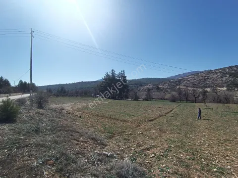 Sahibinden Baraja Yakın Sulak Tarla