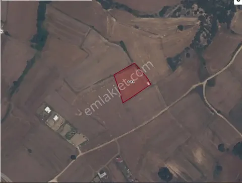 Sahibinden Keşan Mecidiyede Denize Yakın Yola Cepheli 800 M² Satılık Arsa