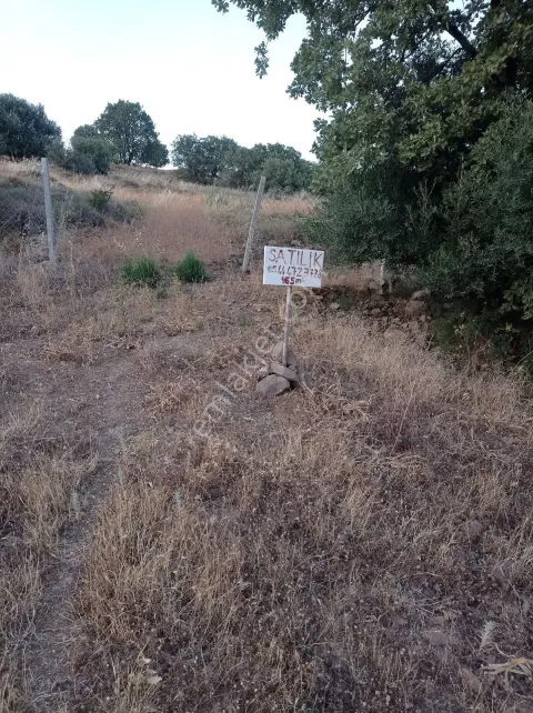 Sahibinden Yenibağarasında