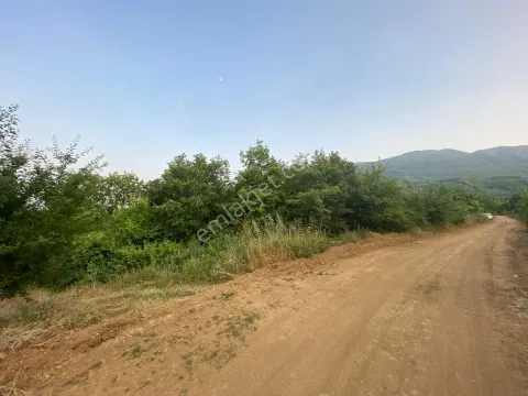 Sahibinden Kozluören Sahibinden Satılık Tarla Mantıklı Araç Veya Ev Takası Değerlendirilir